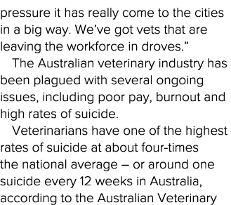 pressure it has really come to the cities in a big way  We ve got vets that are leaving the workforce in droves   The   