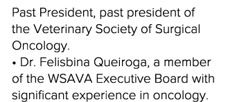 Past President, past president of the Veterinary Society of Surgical Oncology    Dr  Felisbina Queiroga, a member of    