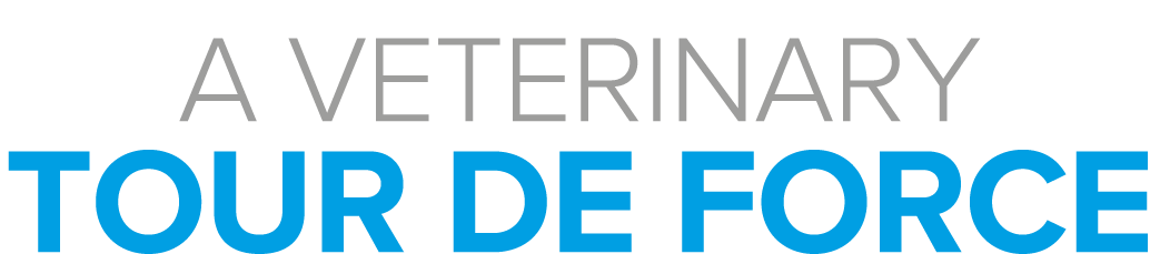 A veterinary Tour de Force