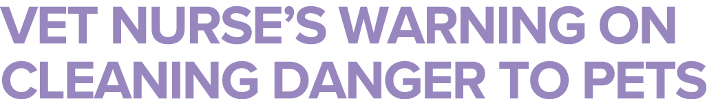 Vet nurse s warning on cleaning danger to pets