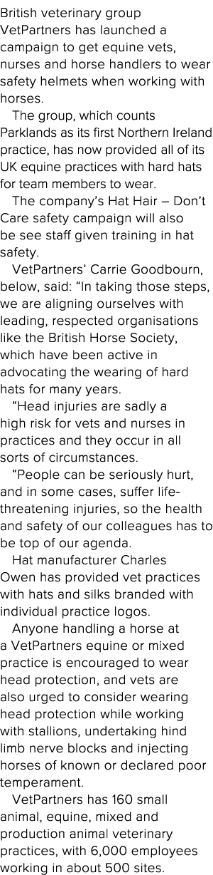 British veterinary group VetPartners has launched a campaign to get equine vets, nurses and horse handlers to wear sa   