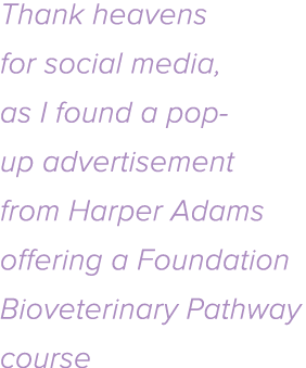 Thank heavens for social media, as I found a pop-up advertisement from Harper Adams offering a Foundation Bioveterina   