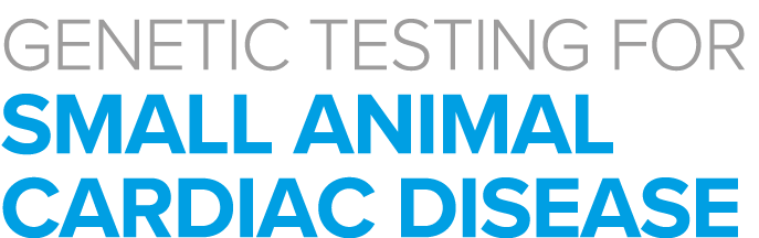 GENETIC TESTING FOR SMALL ANIMAL CARDIAC DISEASE