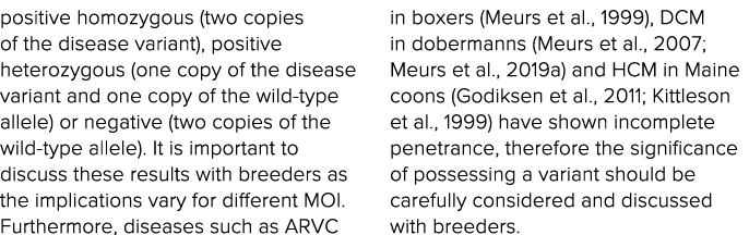 positive homozygous (two copies of the disease variant), positive heterozygous (one copy of the disease variant and o   