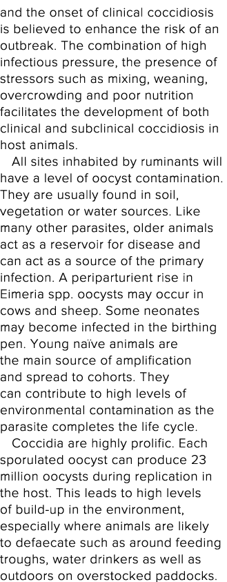and the onset of clinical coccidiosis is believed to enhance the risk of an outbreak  The combination of high infecti   