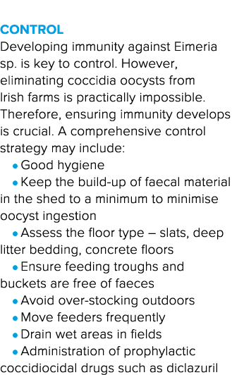  Control Developing immunity against Eimeria sp  is key to control  However, eliminating coccidia oocysts from Irish    