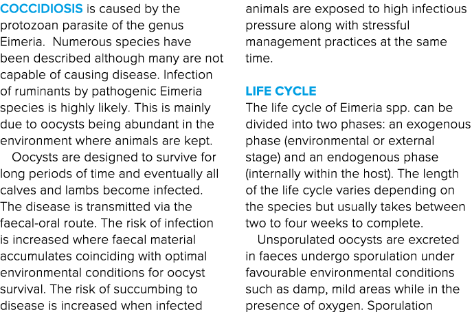 Coccidiosis is caused by the protozoan parasite of the genus Eimeria  Numerous species have been described although m   