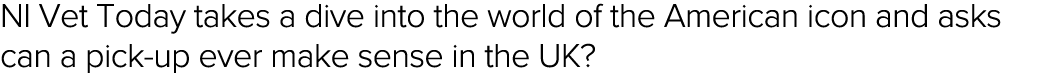 NI Vet Today takes a dive into the world of the American icon and asks can a pick-up ever make sense in the UK  