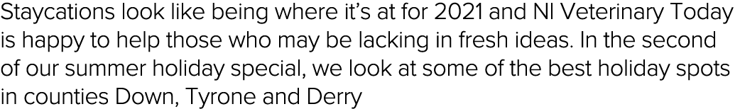 Staycations look like being where it s at for 2021 and NI Veterinary Today is happy to help those who may be lacking    