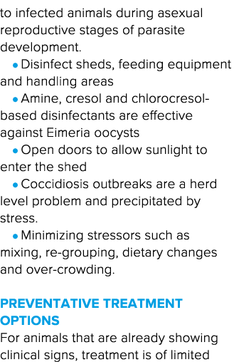 to infected animals during asexual reproductive stages of parasite development  l Disinfect sheds, feeding equipment    