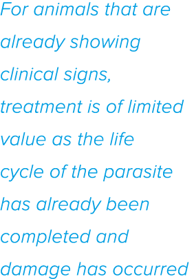 For animals that are already showing clinical signs, treatment is of limited value as the life cycle of the parasite    