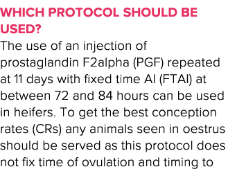 Which protocol should be used  The use of an injection of prostaglandin F2alpha (PGF) repeated at 11 days with fixed    