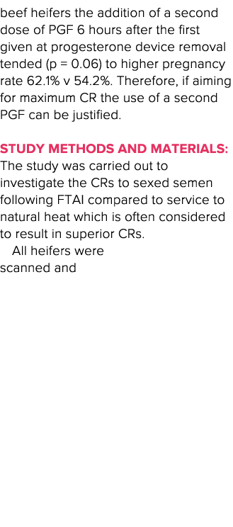 beef heifers the addition of a second dose of PGF 6 hours after the first given at progesterone device removal tended   