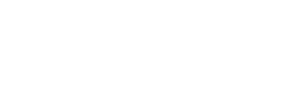 New BVA NI and NIVA president puts wellbeing at heart of her term
