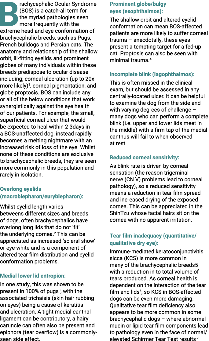 B rachycephalic Ocular Syndrome (BOS) is a catch all term for the myriad pathologies seen more frequently with the ex...