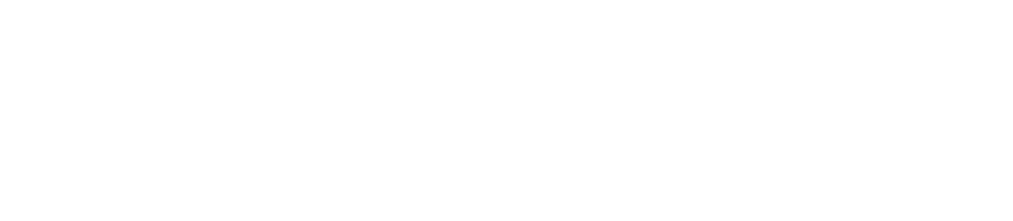 Brachycephalic Ocular Syndrome 