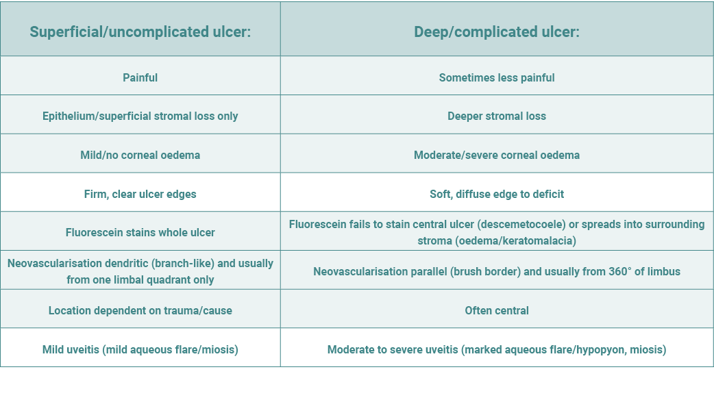Superficial/uncomplicated ulcer:,Deep/complicated ulcer:,Painful,Sometimes less painful,Epithelium/superficial stroma...