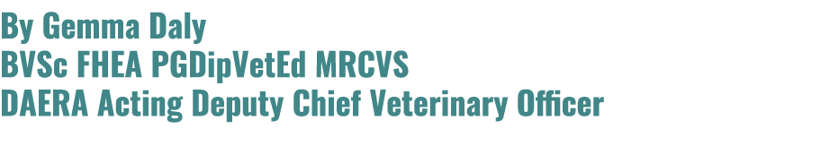 By Gemma Daly BVSc FHEA PGDipVetEd MRCVS DAERA Acting Deputy Chief Veterinary Officer 