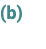 (b)