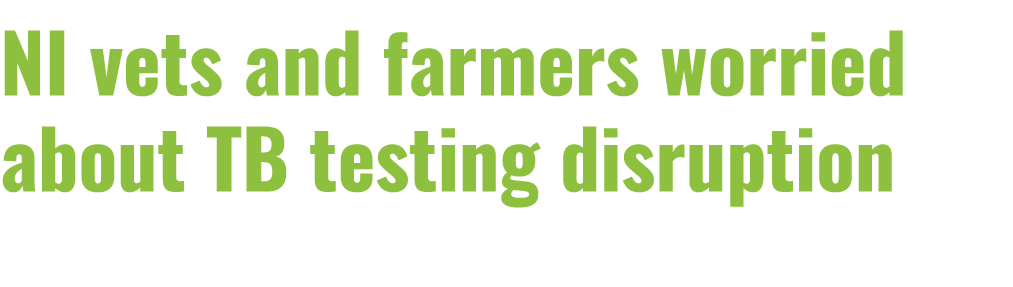 NI vets and farmers worried about TB testing disruption