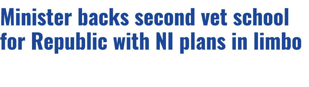 Minister backs second vet school for Republic with NI plans in limbo