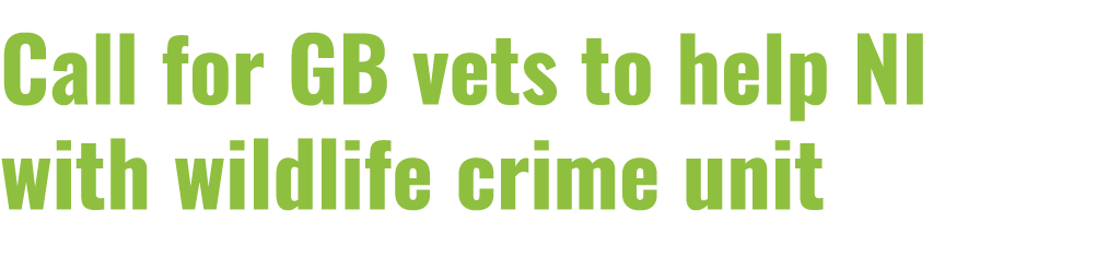 Call for GB vets to help NI with wildlife crime unit 