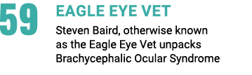 59 Eagle Eye Vet Steven Baird, otherwise known as the Eagle Eye Vet unpacks Brachycephalic Ocular Syndrome