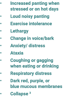 • Increased panting when stressed or on hot days • Loud noisy panting • Exercise intolerance • Lethargy • Change in v...