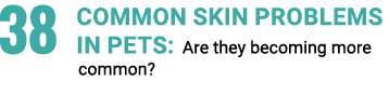 38 COMMON SKIN PROBLEMS IN PETS: Are they becoming more common?