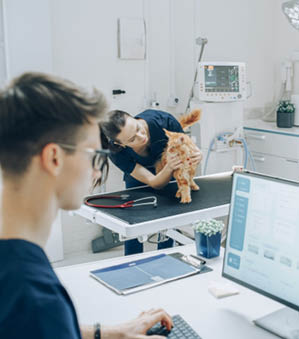 CVS Group cyber attack caused widespread disruption