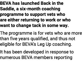 BEVA has launched Back in the Saddle, a six-month coaching programme to support vets who are either returning to work...
