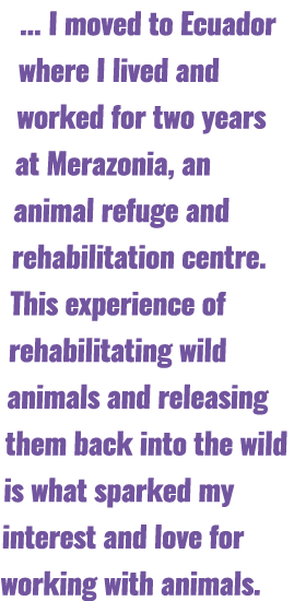 ... I moved to Ecuador where I lived and worked for two years at Merazonia, an animal refuge and rehabilitation centr...
