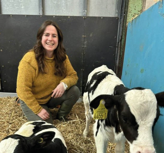 A person kneeling next to cows Description automatically generated