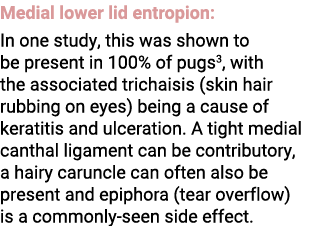 Medial lower lid entropion: In one study, this was shown to be present in 100% of pugs3, with the associated trichais...