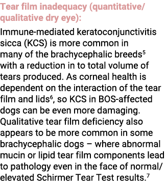 Tear film inadequacy (quantitative/qualitative dry eye): Immune-mediated keratoconjunctivitis sicca (KCS) is more com...
