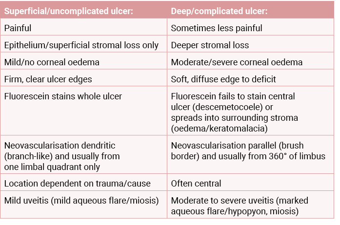 Superficial/uncomplicated ulcer:,Deep/complicated ulcer:,Painful,Sometimes less painful,Epithelium/superficial stroma...