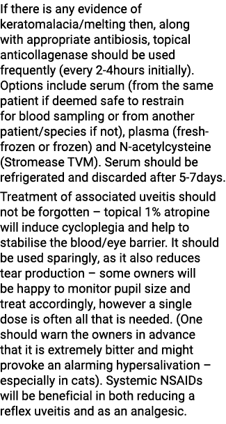 If there is any evidence of keratomalacia/melting then, along with appropriate antibiosis, topical anticollagenase sh...
