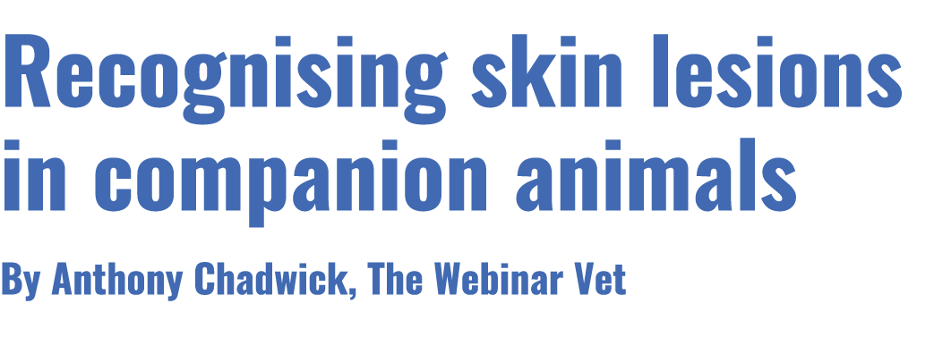 Recognising skin lesions in companion animals By Anthony Chadwick, The Webinar Vet