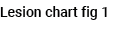 Lesion chart fig 1