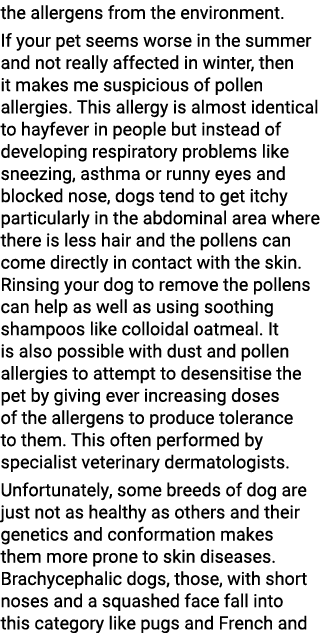 the allergens from the environment. If your pet seems worse in the summer and not really affected in winter, then it ...