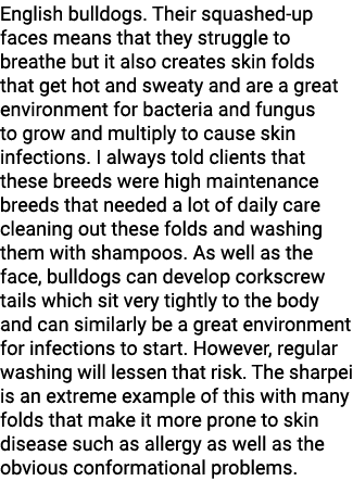 English bulldogs. Their squashed-up faces means that they struggle to breathe but it also creates skin folds that get...