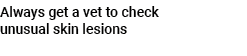 Always get a vet to check unusual skin lesions