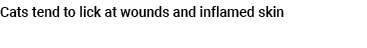 Cats tend to lick at wounds and inflamed skin