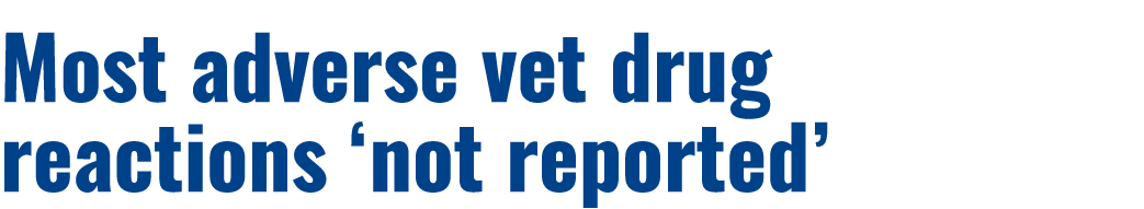 Most adverse vet drug reactions ‘not reported’ 