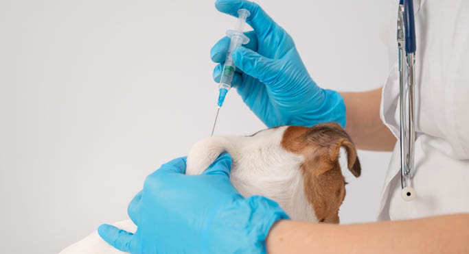 Post primary agri schools’ competition launched