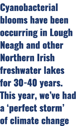 Cyanobacterial blooms have been occurring in Lough Neagh and other Northern Irish freshwater lakes for 30 40 years. T...