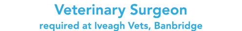 Veterinary Surgeon required at Iveagh Vets, Banbridge
