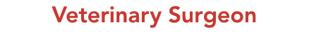 Veterinary Surgeon