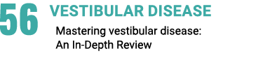 56 vestibular disease Mastering vestibular disease: An In Depth Review