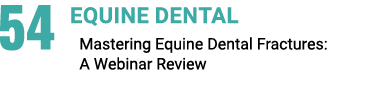 54 Equine Dental Mastering Equine Dental Fractures: A Webinar Review
